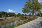 Bassin d'infiltration